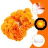 10LED Chrysanthemum Halloween Diwali Party Artificial Flowers 1.5M Artificial Marigold DIY Fairy Garland Light Battery Powered