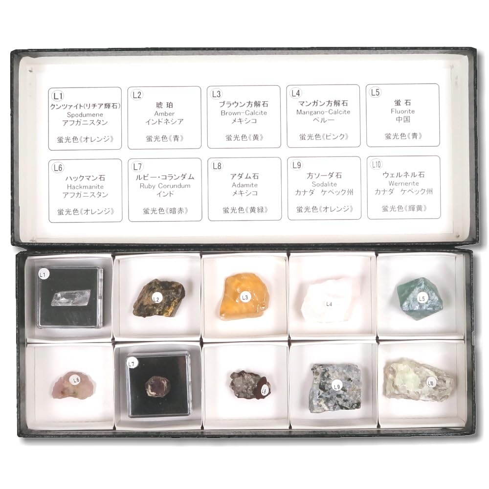 Tokyo Science Fluorescent Mineral Specimen Set Wave 10 (Long Fluorescence, Species)