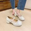 Fashion Korean version autumn single shoes shallow mouth casual year skirt Mary Jane shoes women's new 2025 word with thick heel