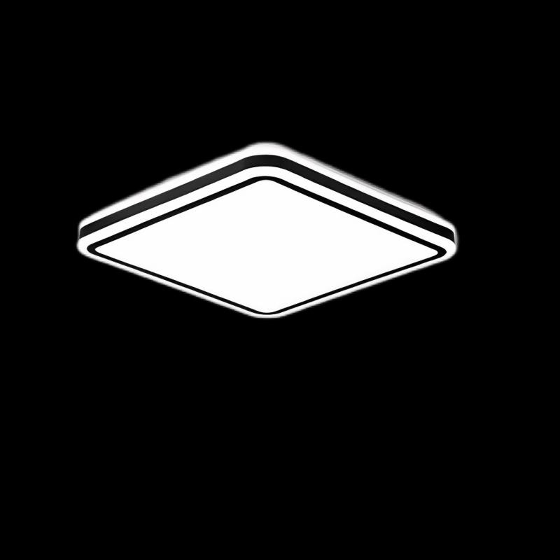 Leilangs Modern Ultra-Bright LED Ceiling Lamp