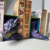 Gothic Dragon Bookends Ornaments 3D Horror Dragon Decorative Bookends Resin Dragon Bookends Creative Sculpture Bookends