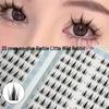 20-Row Large Capacity Glue-Free Beginner-Friendly Natural False Eyelashes