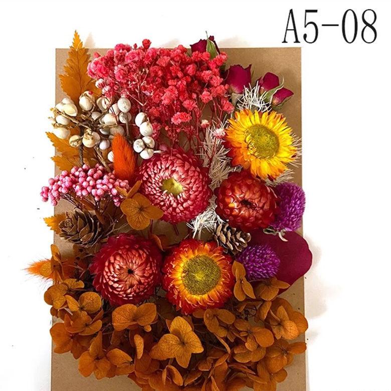 Exquisite Eternal Dry Flower Ancient Style Group Fan Material Pack for Children's Handmade Exclusive Decoration Dried Flowers