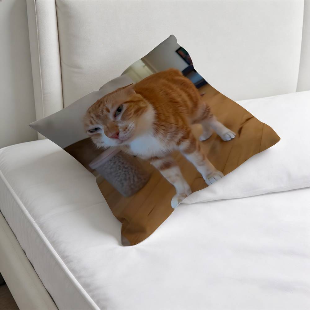 Funny Cat MeMe Decorative Square Pillow Cover Soft  Comfortable Pillow Case Sofa Bed Home Decoration