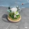 Preserved Flower Sphere: Rose & Sunflower Glass Dome Gift for Christmas & Valentine's Day