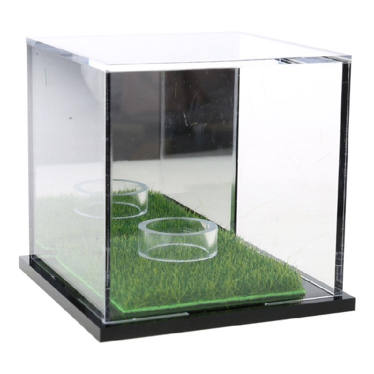 

Acrylic Square Golf Balls Holder Clear Display Box Clear Golf Baseball Display Case Small Golf Balls Box Golf Accessories 1
