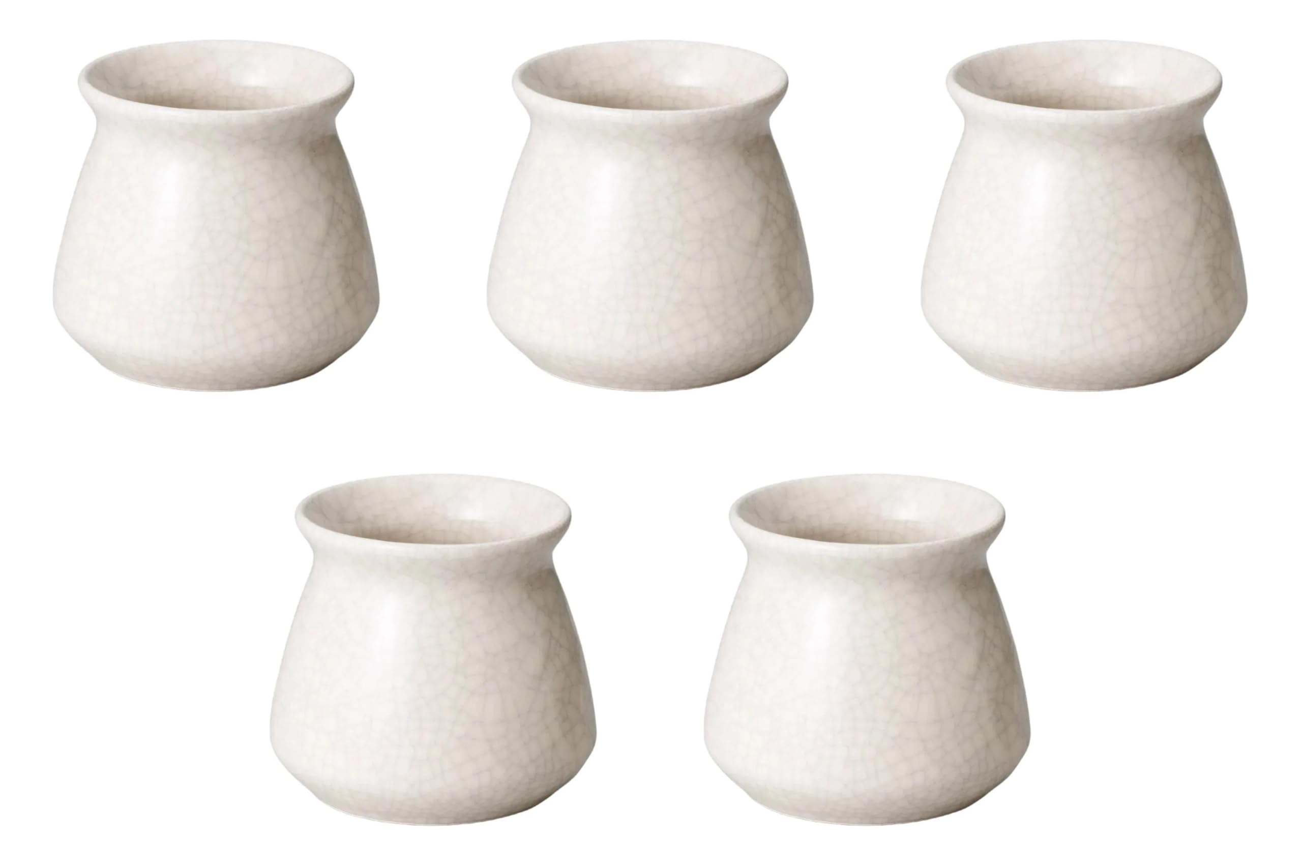 

Set of 5 Crazy Arahiri x Arahiri Banko Ware Setomonohonpo [12 12.7 cm]
