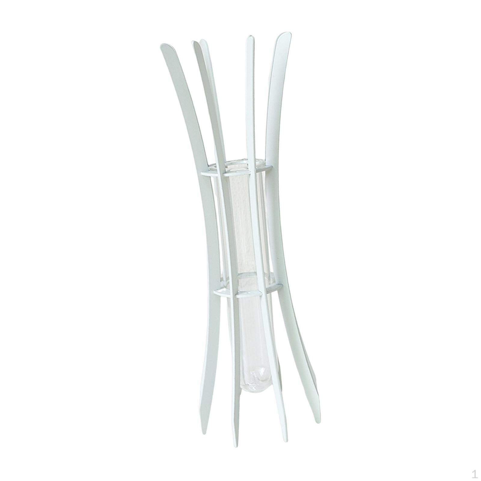 

Plant Glass Tube Flower Vase Desktop Decoration Accessory for Indoor Greenery Metal Frame Stand Black 7x7x20cm