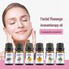 Lavender, Tea Tree, Rose, Sweet Orange & Rosemary Essential Oil for Face Massage & Aromatherapy