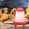 1Set Automatic Chicken Feeder Bucket with Legs Rooster Hen Feeding Device Farm Animal Poultry Quail Pigeon Feeding Supplies