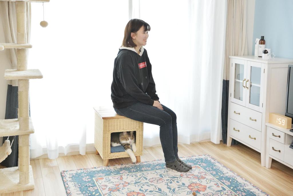 Azumaya Haustierhocker, Natur, B40×T40×H45cm, PET-63