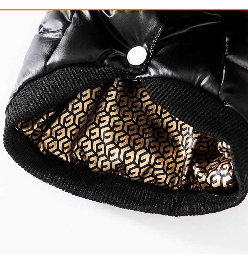 Graphene Black Gold Series Dog Down Jacket for Autumn/Winter - Warm Pet Clothes for Small Breeds Like Teddy, Bichon, and Pomeranian