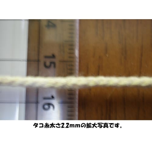Royal Kasei Kite String 2.2mm X 20m