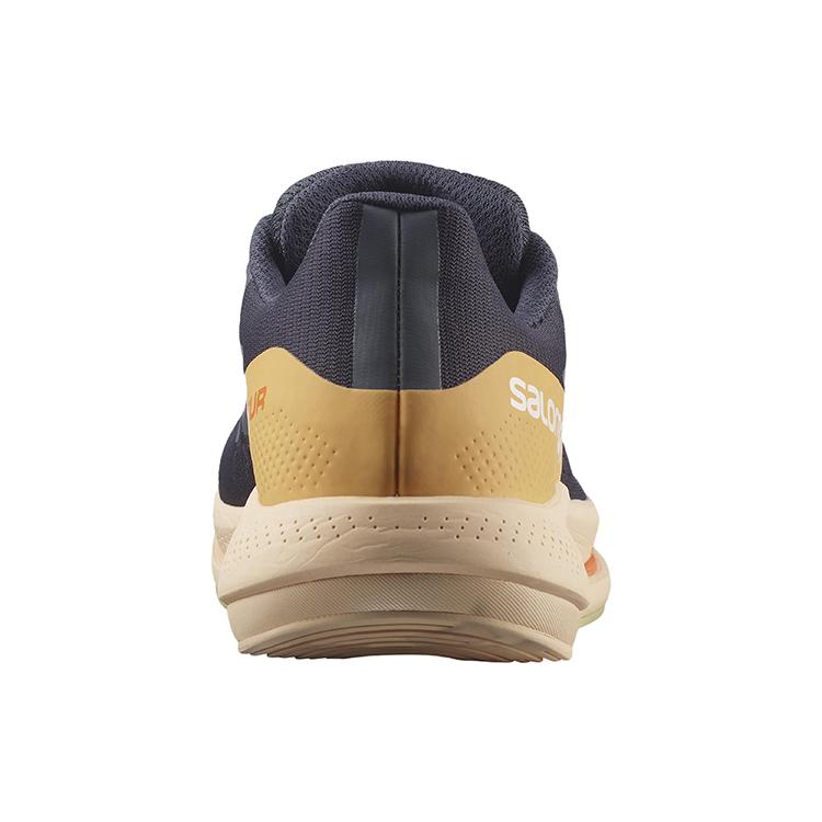 Salomon Spectur