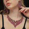 Inlay Rhinestone Jewelry Set Exquisite Clavicle Chain Light Luxury Necklace Earring Set  Banquet