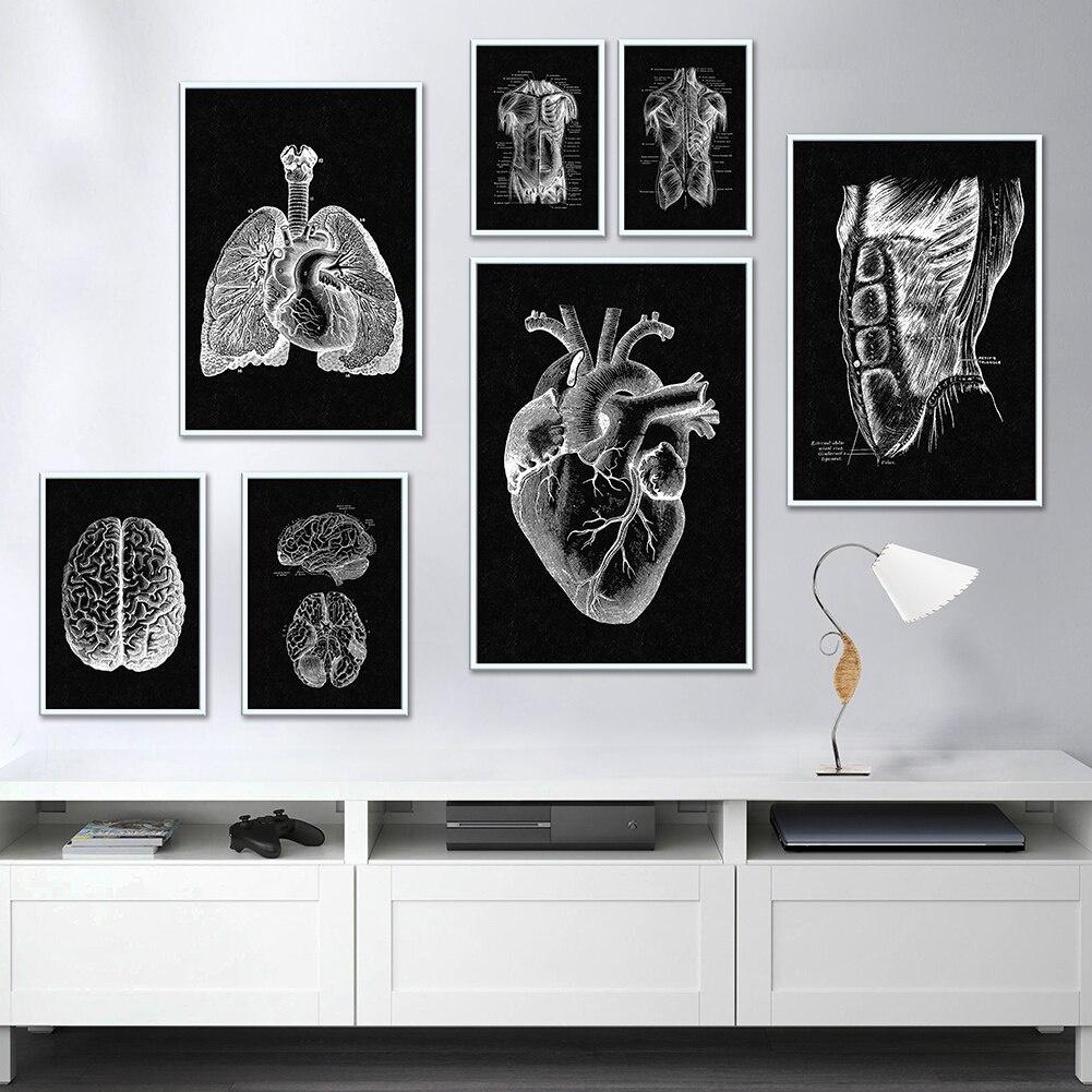 Canvas Printing Human Anatomy Artwork Wall Art Poster Skeleton Organ Muscular System Vintage Home Decor