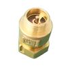 DN15 DN20 DN25 1/2" 3/4" 1" BSP Femmina Maschio Ottone Valvola di Ritegno Unidirezionale Non Ritorno Per Installazione Prima O Dopo il Contatore dell'Acqua