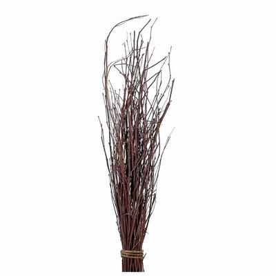Daichi Farm Getrocknete Birkenzweige, Natur, L70.0cm, 25 Stück, DO050780-000