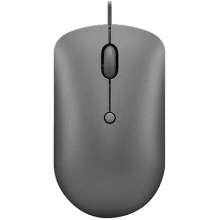 Souris d'ordinateur - LENOVO - 540 - Filaire USB-C - Ambidextre - 4 boutons - DPI réglable