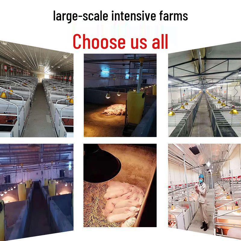 Adjustable Waterproof Metal Heat Lamp for Pets and Piglets