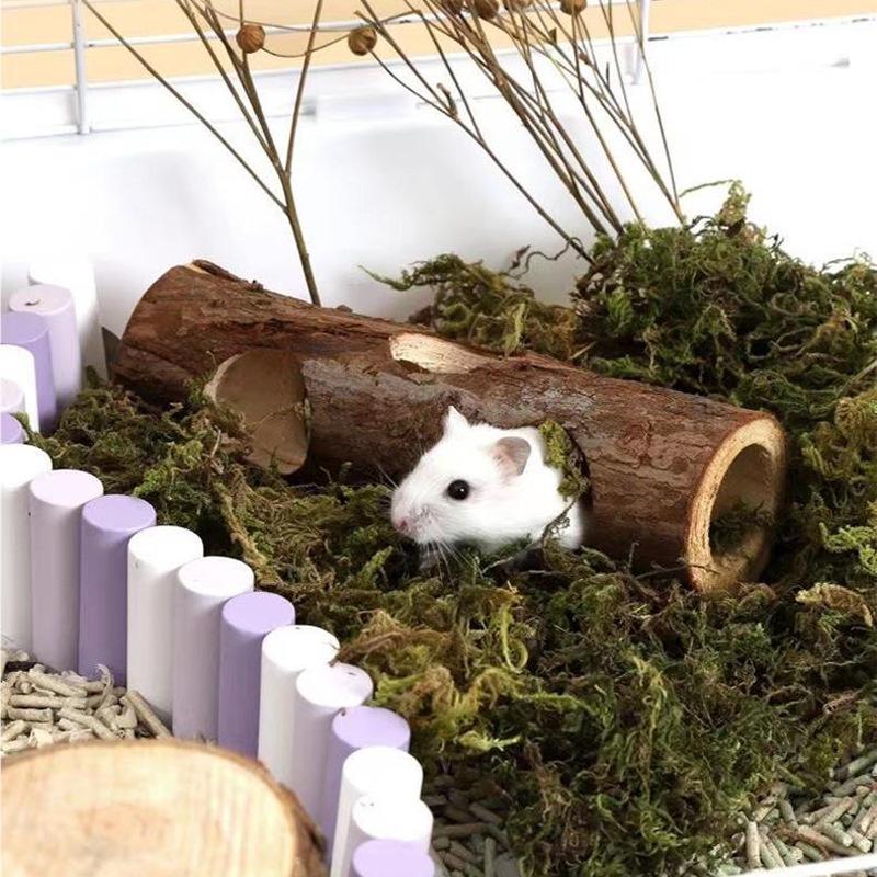 Natural Pet Toy Grinding Cleaning Chew Toy Small Pets Toys For Hamster Rabbit Grinding Products Made of Apple Tree Wood