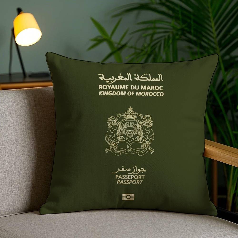 A-Algerian Passport Pattern Pillow Case Home Dorm Chair Back Short Plush Double-sided Printing Office Nap Time Cushion Cover