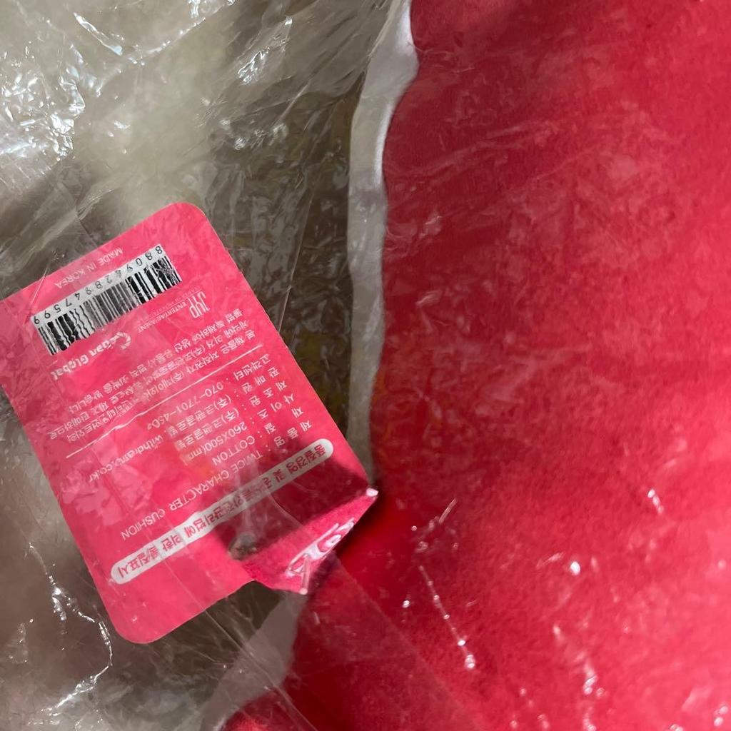 [USED] TWICE Chaeyoung Character Cushion Dudun-i