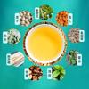 Tongrentang Honeysuckle Mint Herbal Tea 150g 30 Sachets Fresh Breath Oral Care