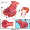 Marine Animal Simulation Model Figures: Shark, Dolphin, Hammerhead, Crab, Squid, Starfish for Kids' Education