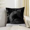 Anime French Bulldogs Lucky Dragon Pillow Cover Sofa Cushion Cover Home Room Decoration Children Gift