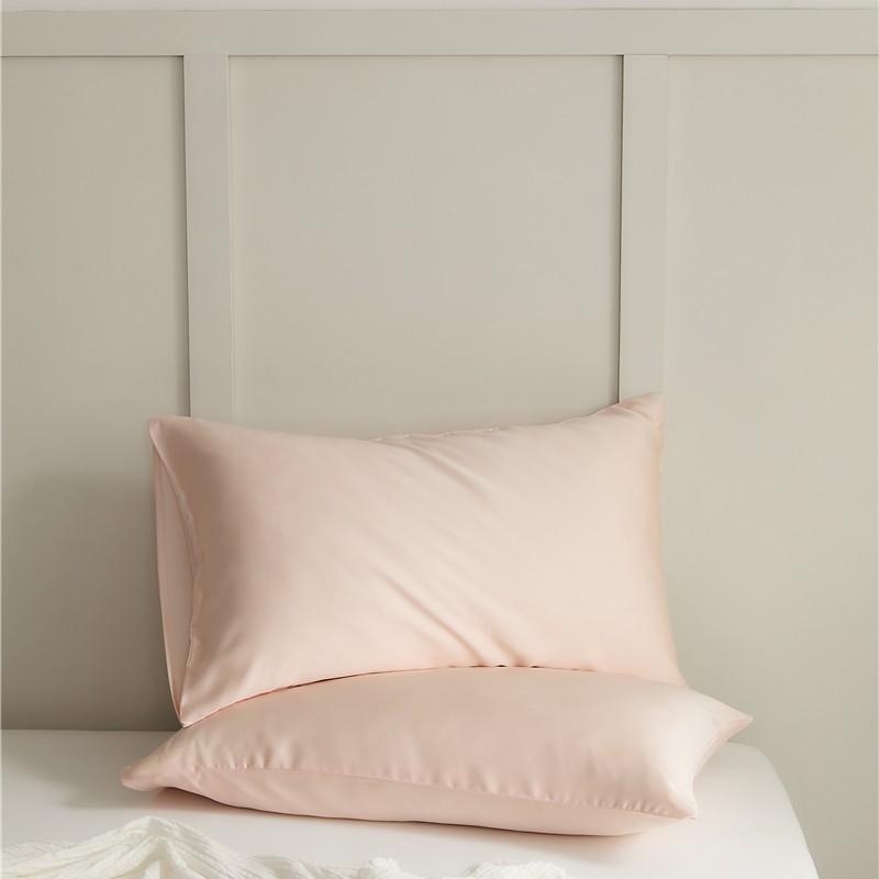 Leisel Tencel Pillowcase Single Pack - Single Pillowcase Solid Color Pillowcase Bedding Pillow Core Kit