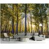 Mural Sunny Forest Landscape Living Room Home Decor Photo Wallpaper