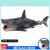 Premium Megalodon Figure Ancient Shark Wild Animal Pvc Model Toy For Collectors