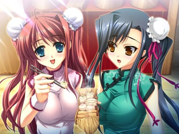 Shin Koihime Musou PSP ~Otome RyouranSangokushi Engi~Shu Hen(Limited Edition) -