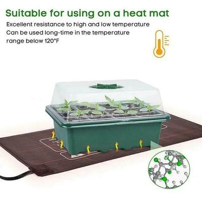 12 Hole Home Gardening Seedling Tray, Peanut Germination Initiation Growth Box, Specialized Gardening Tool For Plant Propagation
