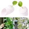 Pipe Fixed Planting Cup and Sponge Hydroponic Flowers Vegetables Nurturing Soilless Culture Planting Pot DIY Planting 10/100Pcs