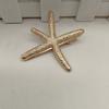 Starfish Geometric Side Spring Metal Bang Hair Clip, Zinc Alloy Snap Barrette for Women and Girls, Straight Curly Hair Fringe