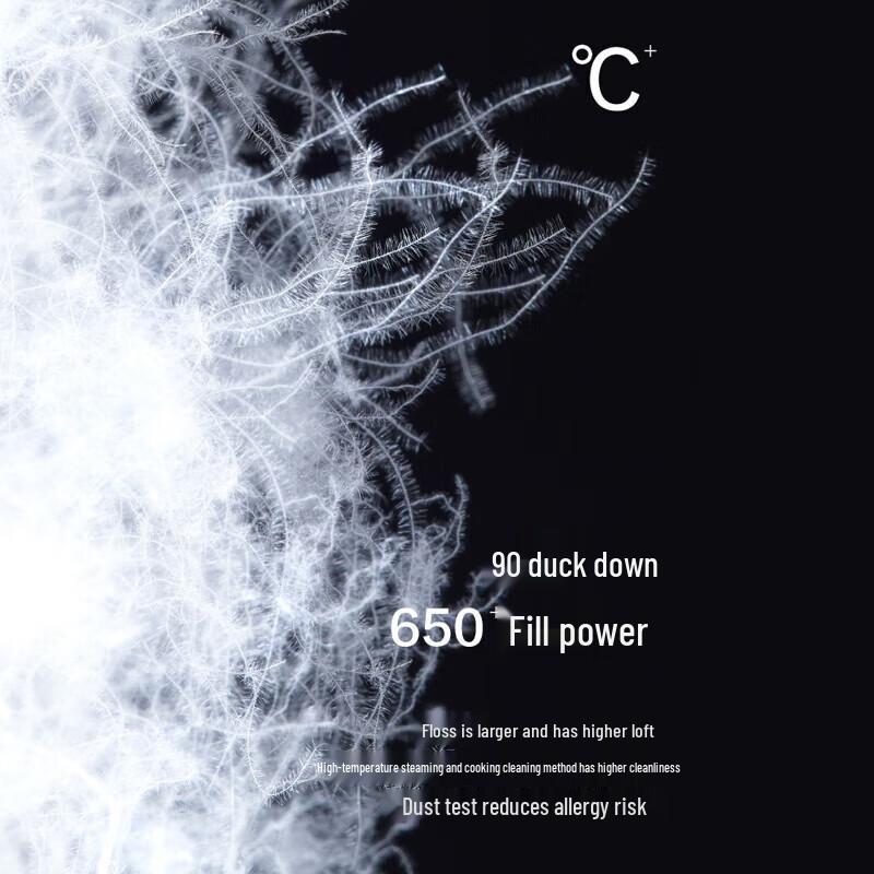 Jinyujie Damen 2024 H/W Ultraleichte Kurze Entendaunenjacke