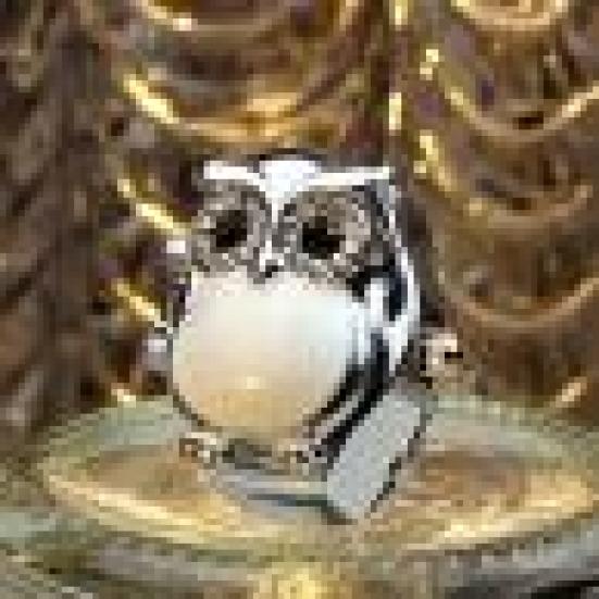 

Женские часы с блестящим совым корпусом из нержавеющей стали и эластичным кольцом на палец для женщин и девушек