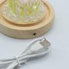 Floral Glow Garden Dome – 10 Pink Roses – LED USB