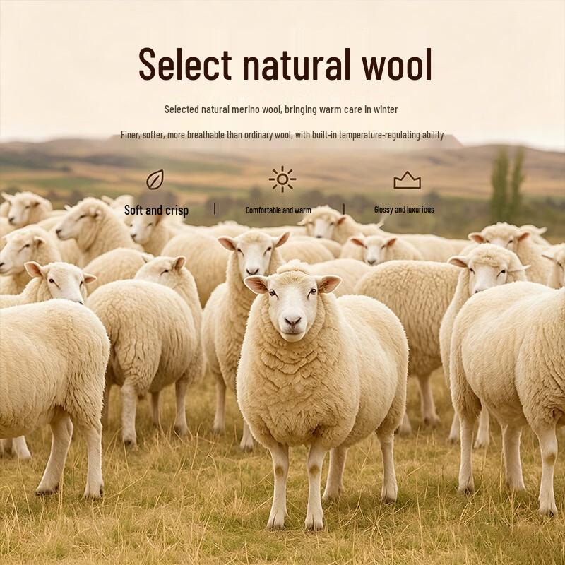 Shanshan Men's Wool Blend Pullover Sweater