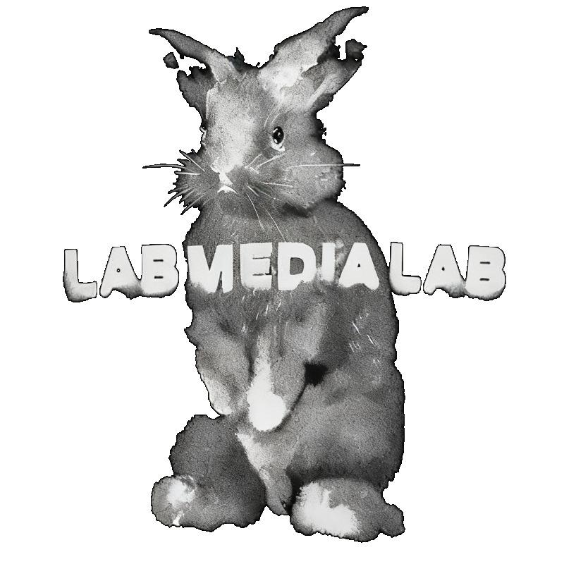 Oversized T-Shirt Black Rabbit Print With Lab Media Lab Text Casual Streetwear For Women