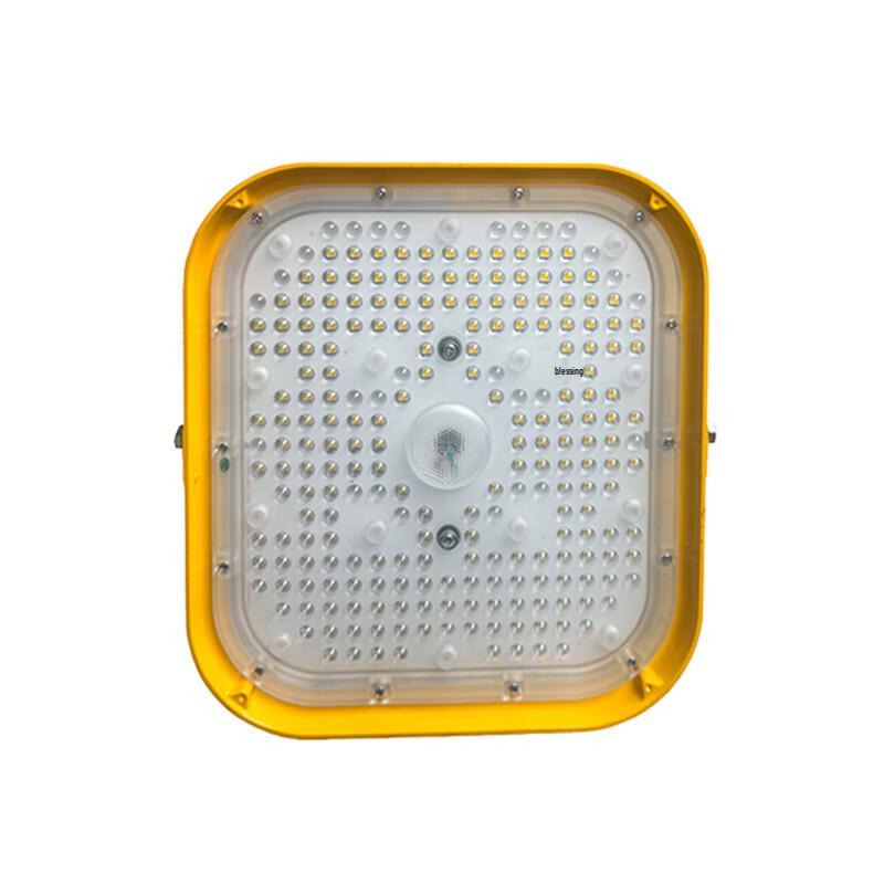 SEVA SZSW8470-200 Explosion-Proof LED Flood Light