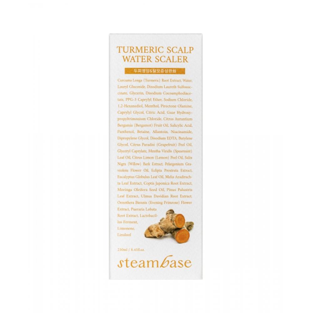 Steambase Hair Loss Treatment Scalp Strengthening Turmeric Scaler 250ml