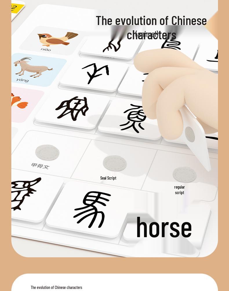 Pinwheel Chinese Character Evolution Literacy Cards for Early Education
