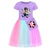 5529 Kids Girls Roblox Print Mesh Rainbow Round Neck Dress