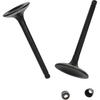 Intake & Exhaust Valve Kit for Hisun HS 500CC ATV/UTV - 1PC Each Replacement ERP Codes P002000147110000 & P002000147210000