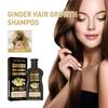 Shampooing Repousse Gingembre Contrôle Huile Anti Chute de Cheveux Antipelliculaire Hydrate Nourrit Cuir Chevelu Réparation Cheveux Abîmés Shampooing Croissance