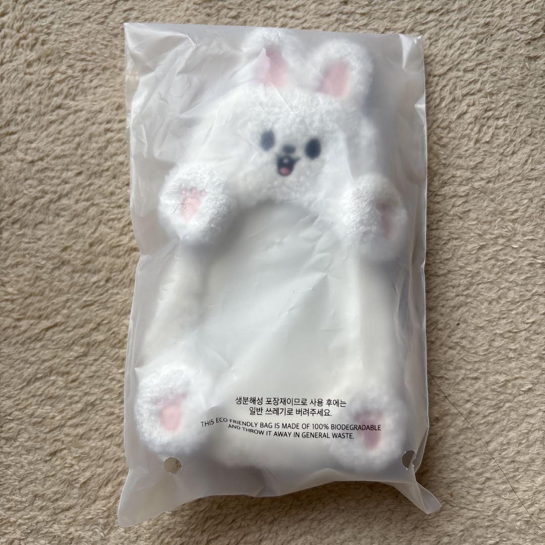 

[USED] stray kids reno trading card case