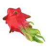 Dragon Fruit Artificial Fruit Early Education Toys Food Ornament Festive Party Home Decoration For Photography Props